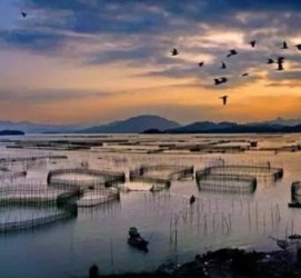 韶关伴游中国网景点丰富(旅游网介绍)