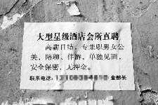 韶关珠海伴游雇用网(珠海游览社雇用信息)