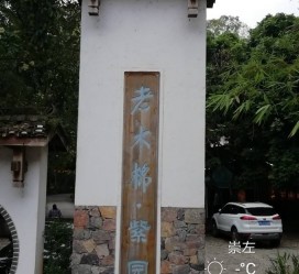 韶关关于伴游中国伴游你们伴得是什么游的信息