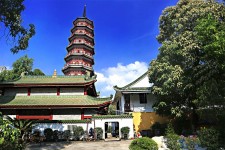 韶关广州自由行(广州 自由行)