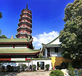 韶关广州自由行(广州 自由行)