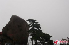 韶关上海伴游私家陪游雇用女模(上海伴游私家陪游雇用女模特)