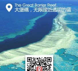 韶关中国250家旅行社结伴游新西兰(新西兰当地旅行社)