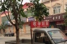 韶关上海伴游 用伴游造句大全(5