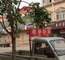韶关上海伴游 用伴游造句大全(5