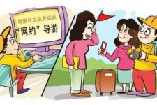 韶关伴游是什么