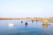韶关南昌附近伴游小妹兼职(1534939978姐的微信德惠市)