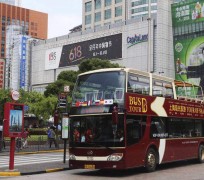 韶关上海私人伴游 上海过年怎么玩？这些“微游”线路了解下→