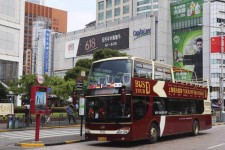 韶关上海私人伴游 上海过年怎么玩？这些“微游”线路了解下→
