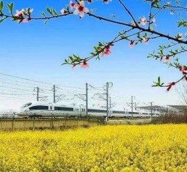 韶关高铁游(高铁游戏下载手机版)