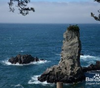 韶关旅游全攻略(上海旅游全攻略)