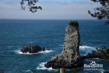 韶关旅游全攻略(上海旅游全攻略)