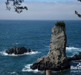 韶关旅游全攻略(上海旅游全攻略)