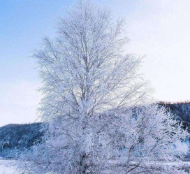 韶关冬季旅游攻略(冬季旅游攻略必去景点)