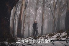 韶关上海私人伴游 上海伴游，上海兼职伴游安全吗