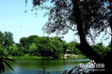韶关西湖旅游攻略(上海到杭州西湖旅游攻略)