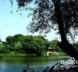 韶关西湖旅游攻略(上海到杭州西湖旅游攻略)