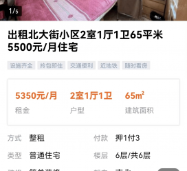 韶关私人伴游是什么 “过年租友”陷阱：骗财与色情服务