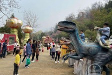 韶关中国伴游带你打卡网红南山竹海(南山竹海网上预约)