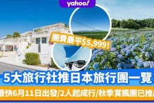 韶关旅游价格(旅游价格机制)