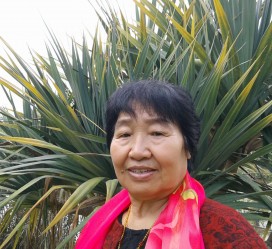 韶关白叟带老伴游半个中国(白叟外出旅游)