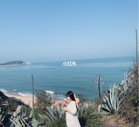 韶关厦门周边游(厦门及周边旅游攻略)