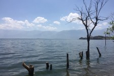 韶关洱海旅游攻略(洱海旅游攻略自由行)