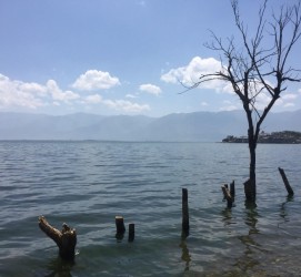韶关洱海旅游攻略(洱海旅游攻略自由行)