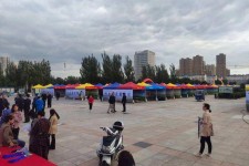 韶关通辽伴游雇用(哈尔滨伴游雇用)
