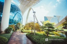 韶关杭州外围伴游雇用(杭州外围雇用经纪人)