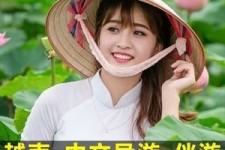 韶关日本关东伴游中国(日本关西旅行)
