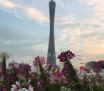 韶关广州旅游攻略(杭州到广州旅游攻略)