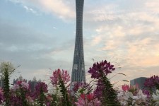 韶关广州旅游攻略(杭州到广州旅游攻略)