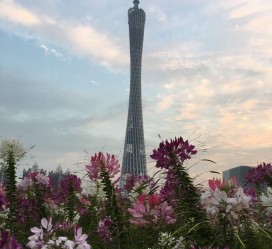 韶关广州旅游攻略(杭州到广州旅游攻略)