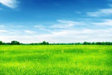 韶关上海伴游 上海模特伴游微信号的交友宣言