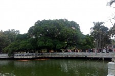 韶关福州旅游攻略(福州旅游攻略二日游)
