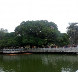 韶关福州旅游攻略(福州旅游攻略二日游)