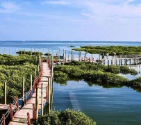 韶关旅游哪里好玩(云南旅游哪里好玩)