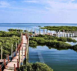 韶关旅游哪里好玩(云南旅游哪里好玩)