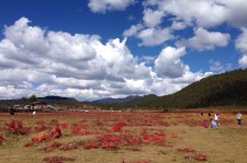 韶关旅游去处(暑期最好的旅游去处)