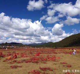 韶关旅游去处(暑期最好的旅游去处)
