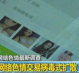 韶关上海伴游 伴游女郎白天陪玩晚上陪睡 网络跑火日薪过万(图)