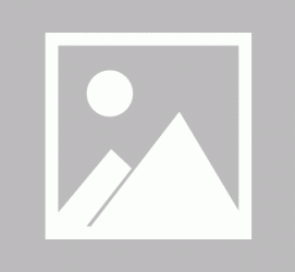 韶关私人伴游 黄金周里动“黄”经 天津又现“私人陪游”逆流