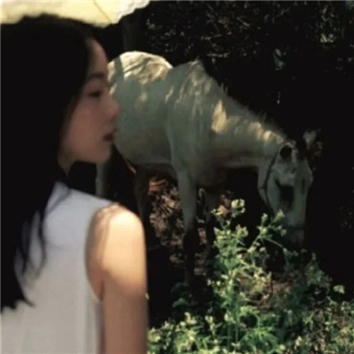 韶关私家伴游让你拥有一次完美的旅游体验