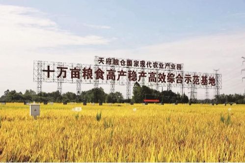 关于成都商务伴游外围雇用的信息